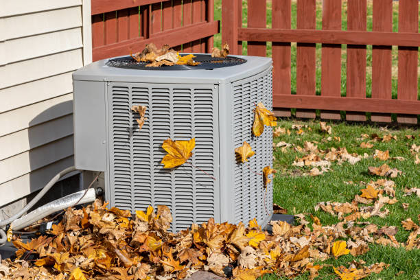 Best HVAC maintenance near me  in Willis, TX